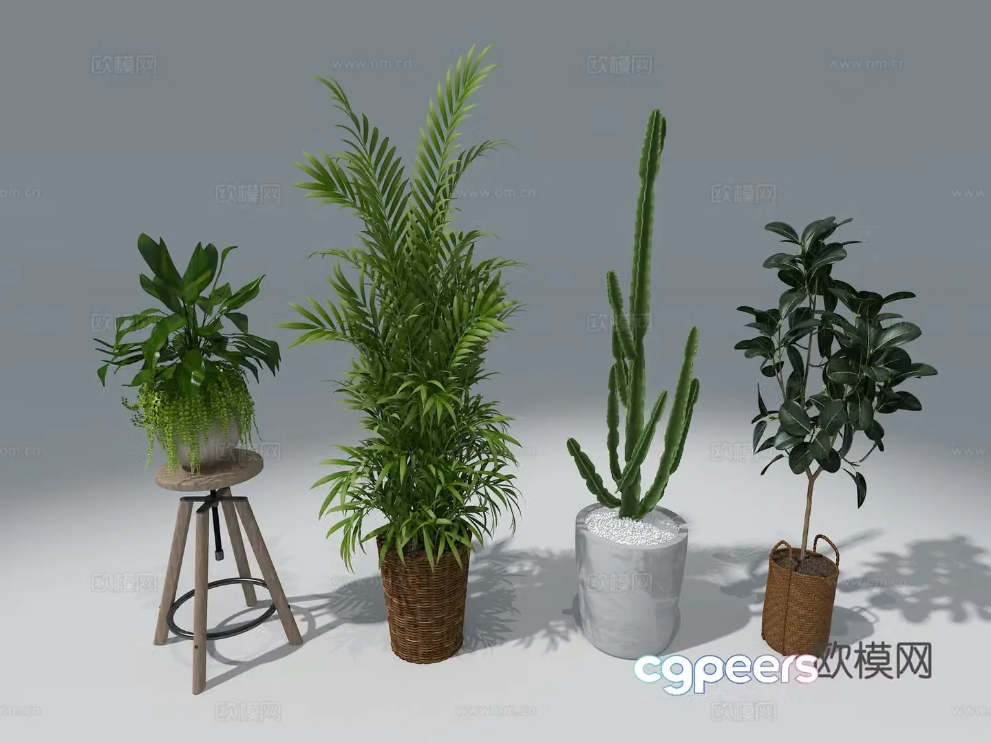 3D model of indoor potted plants