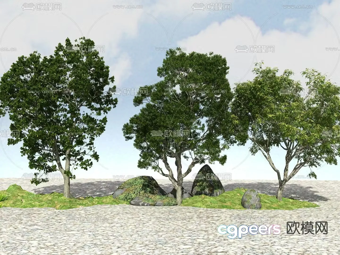 Tree Landscape Tree 3D Model