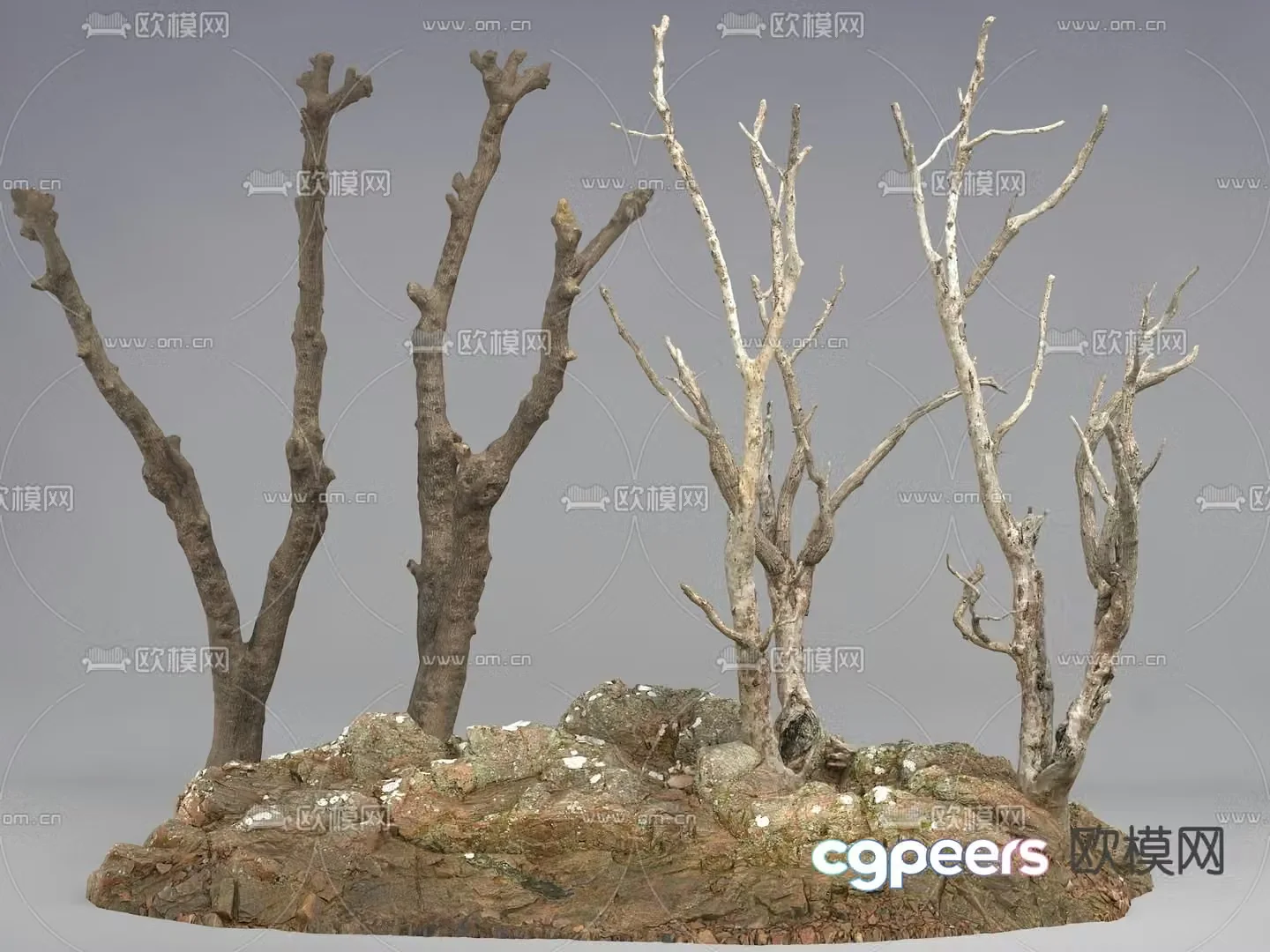 tree trunk dead branch 3d model