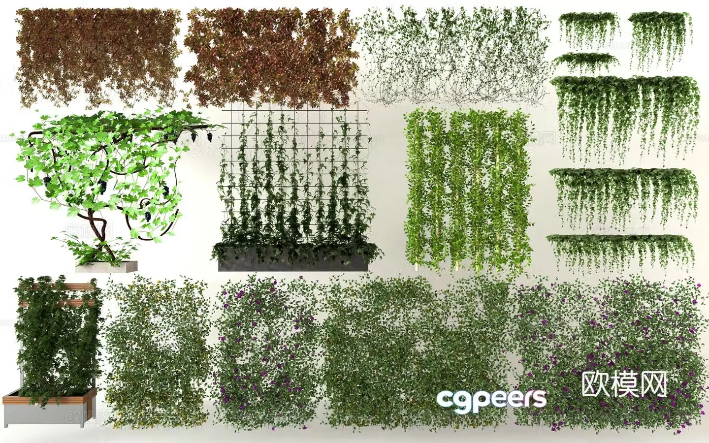 Modern vine crawling flower wall tiger plant wall green plant vine rose vine crawling flower wall rose flower wall vine 3D model
