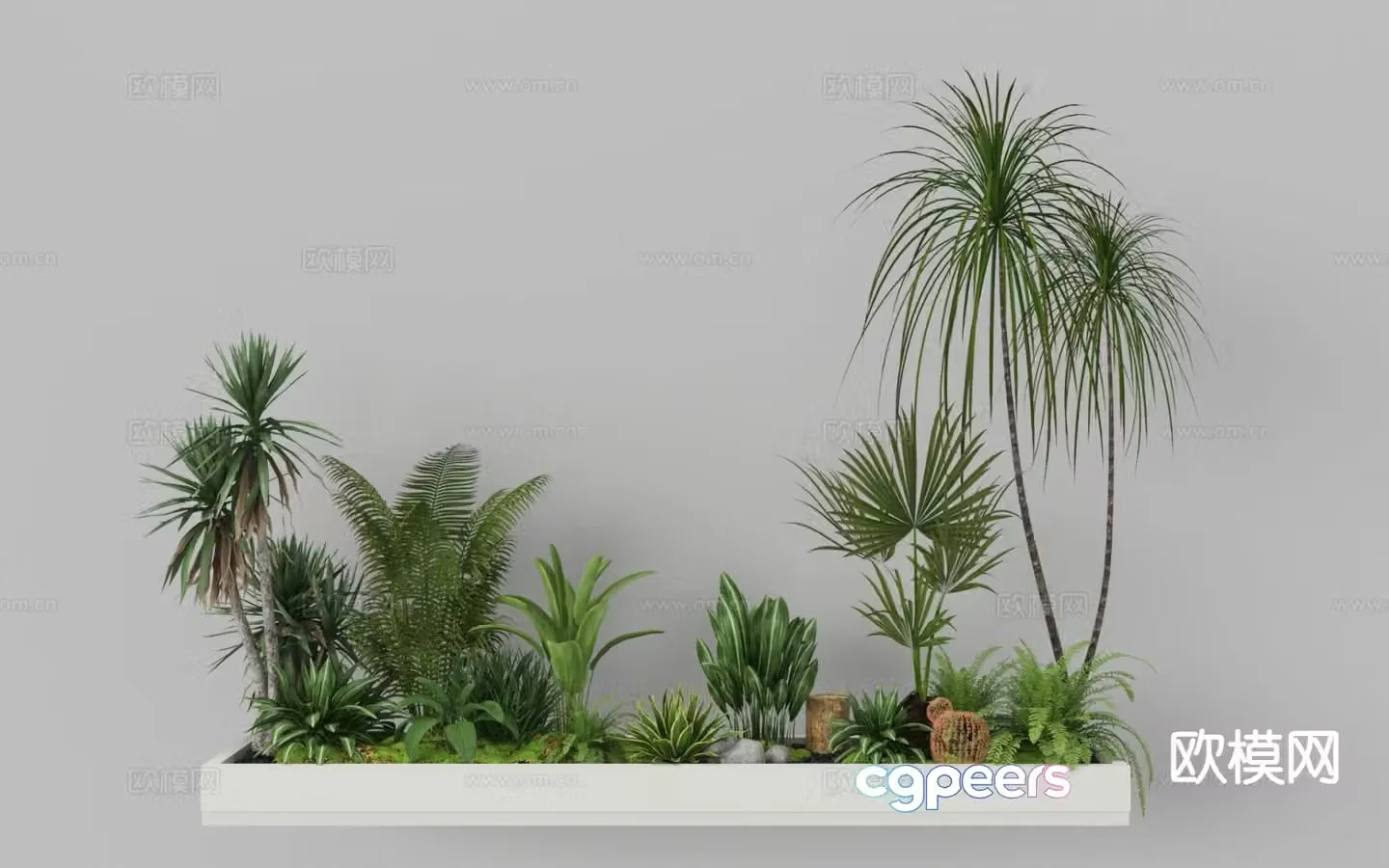 Plant landscaping ferns plant piles micro-terrain tropical plants 3D model