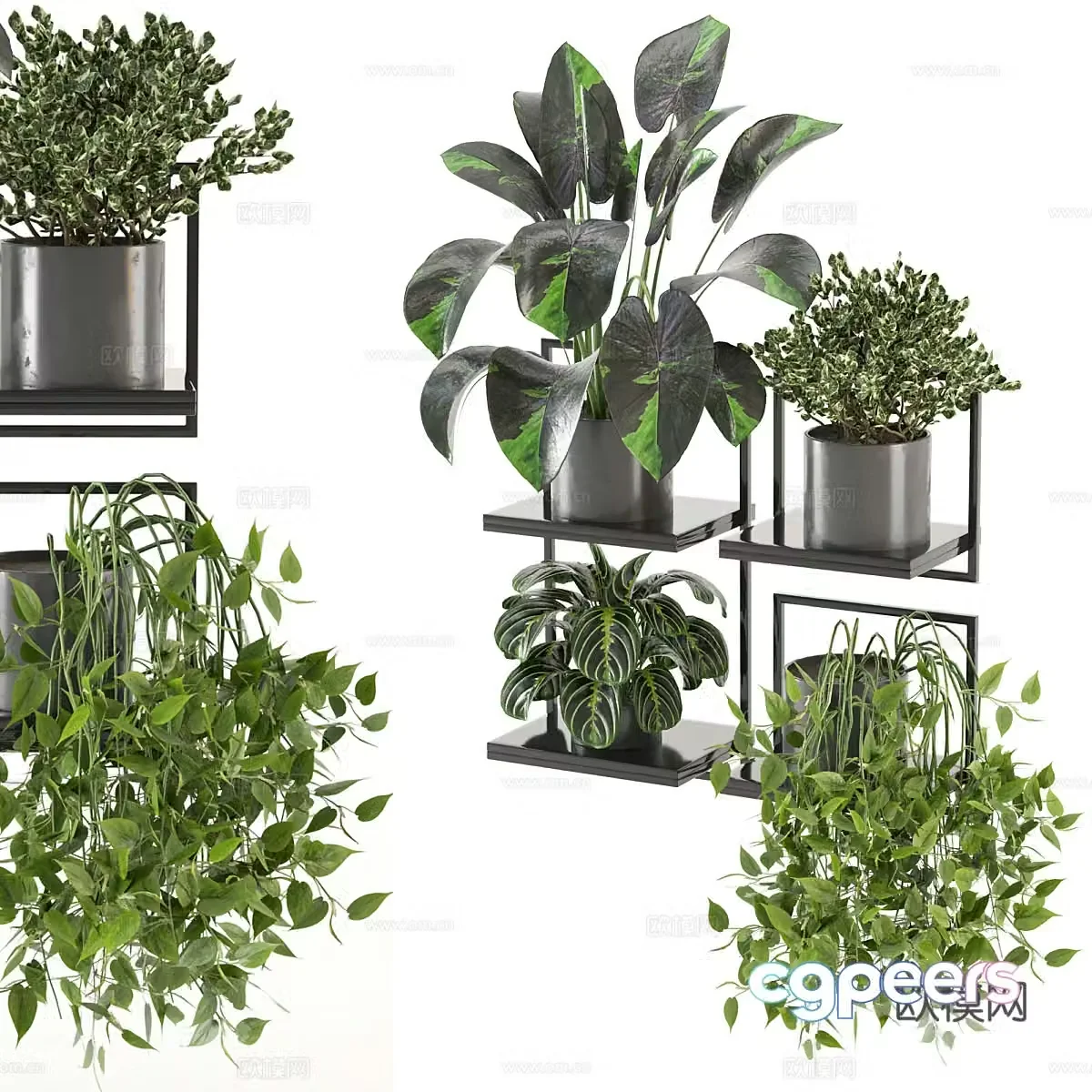Plant potted plant stand 3D model