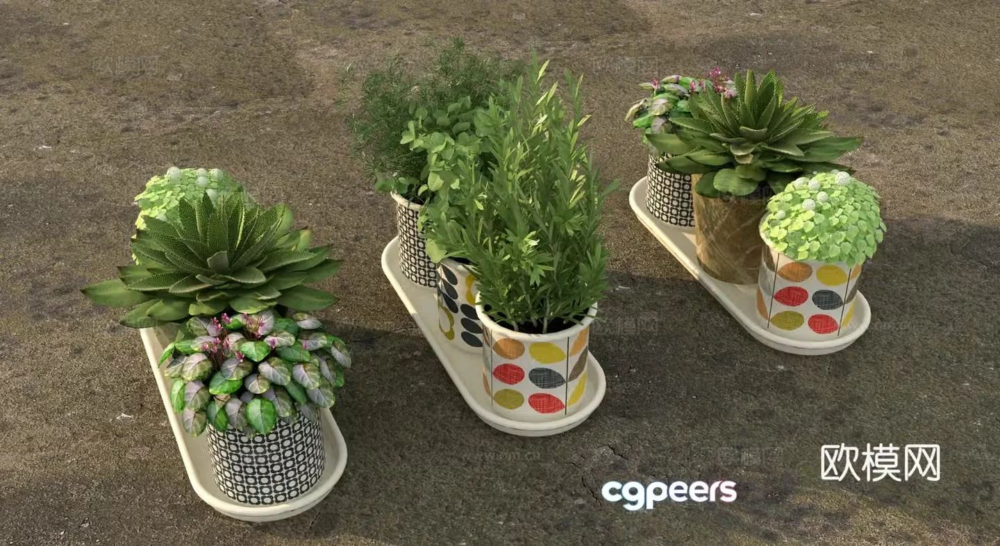 Plant green plants aloe vera 3d model