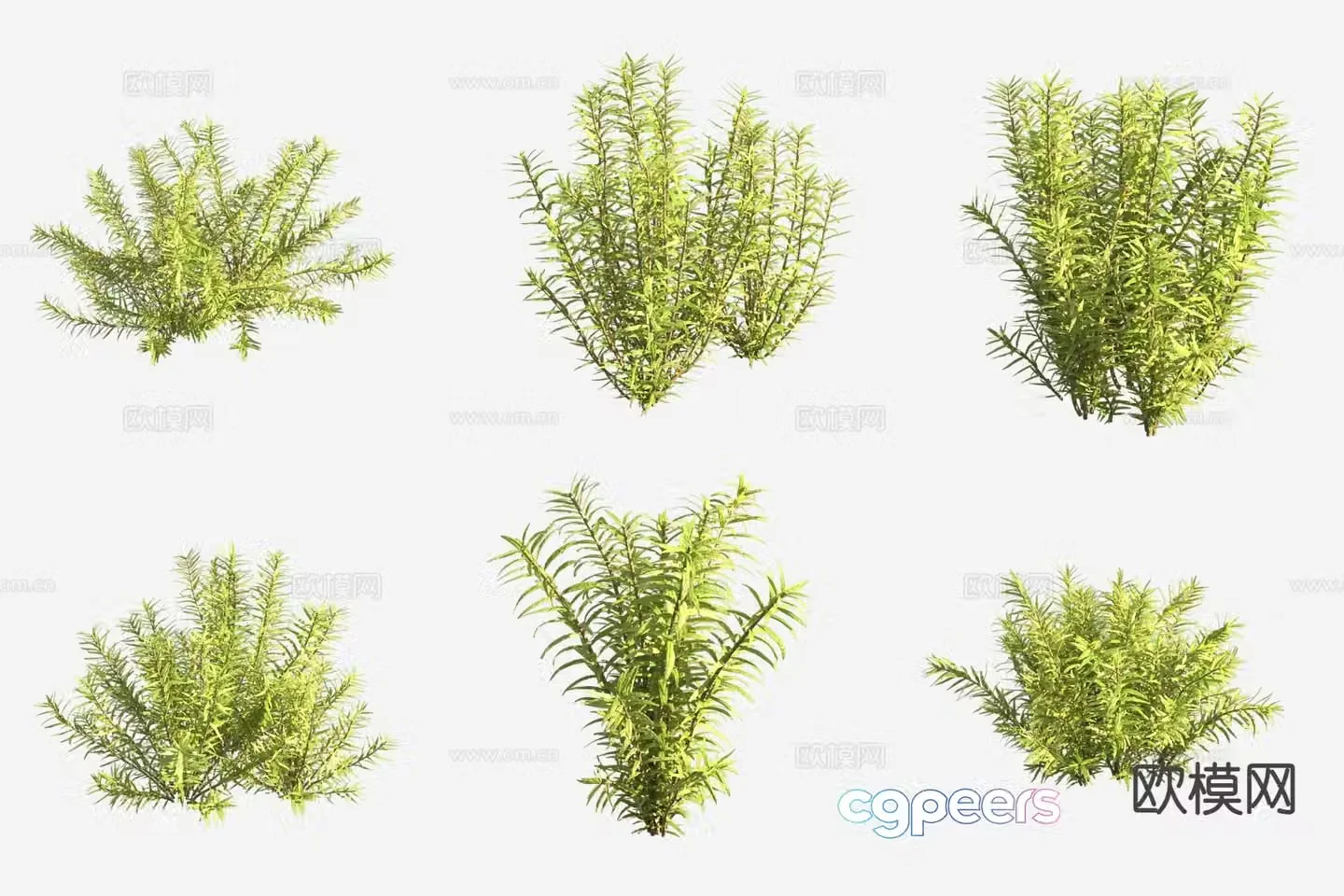 Round leaves and leaves aquatic plants aquatic plants 3D model