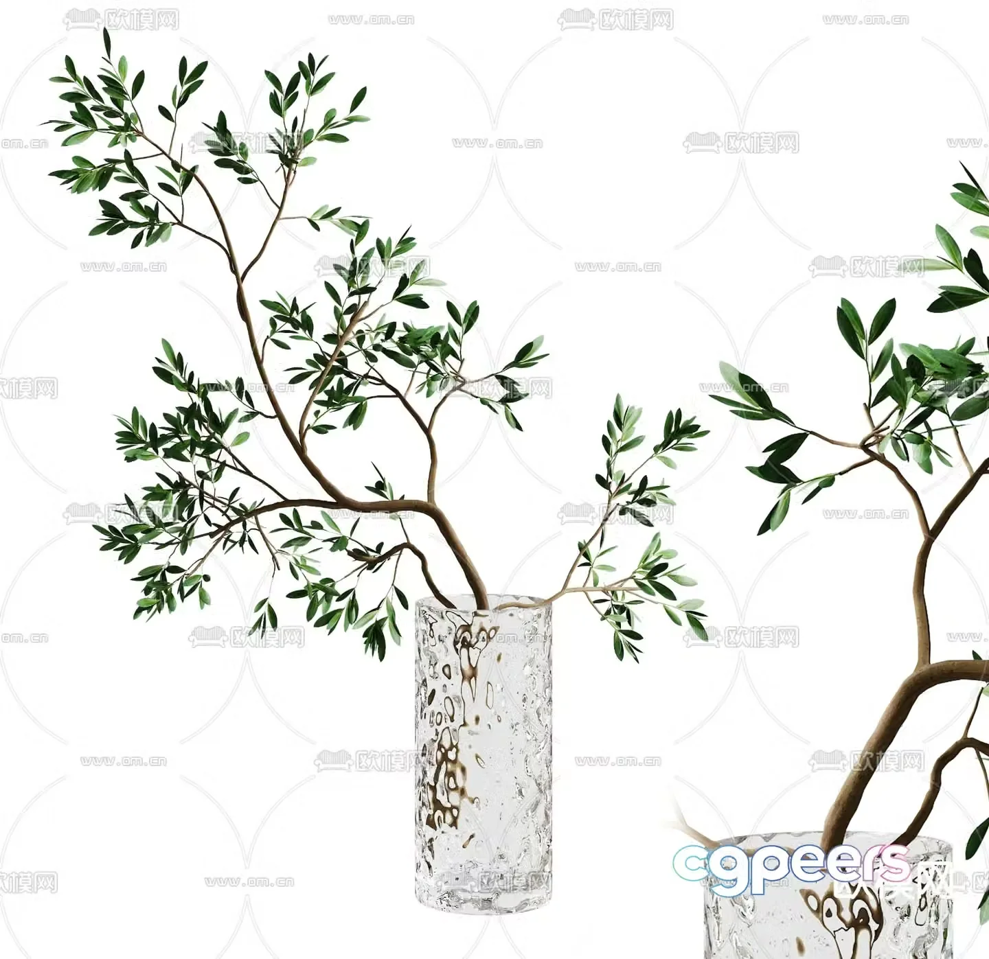 Modern aquatic plants green plant 3d model
