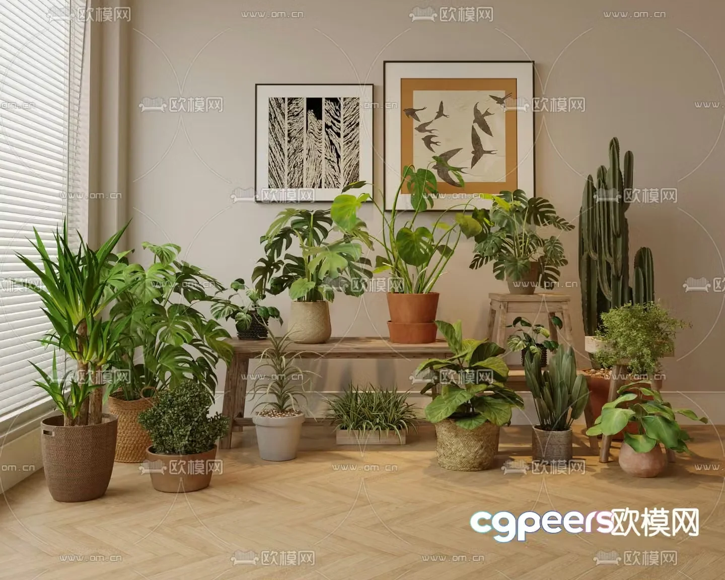 Plant potted cactus Monstera 3d model