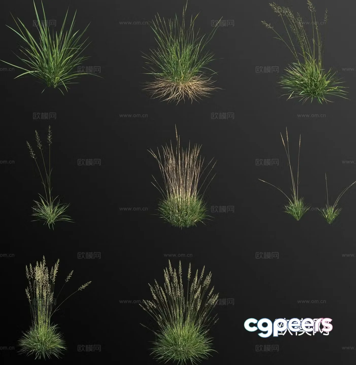 Large flower grass 3D model