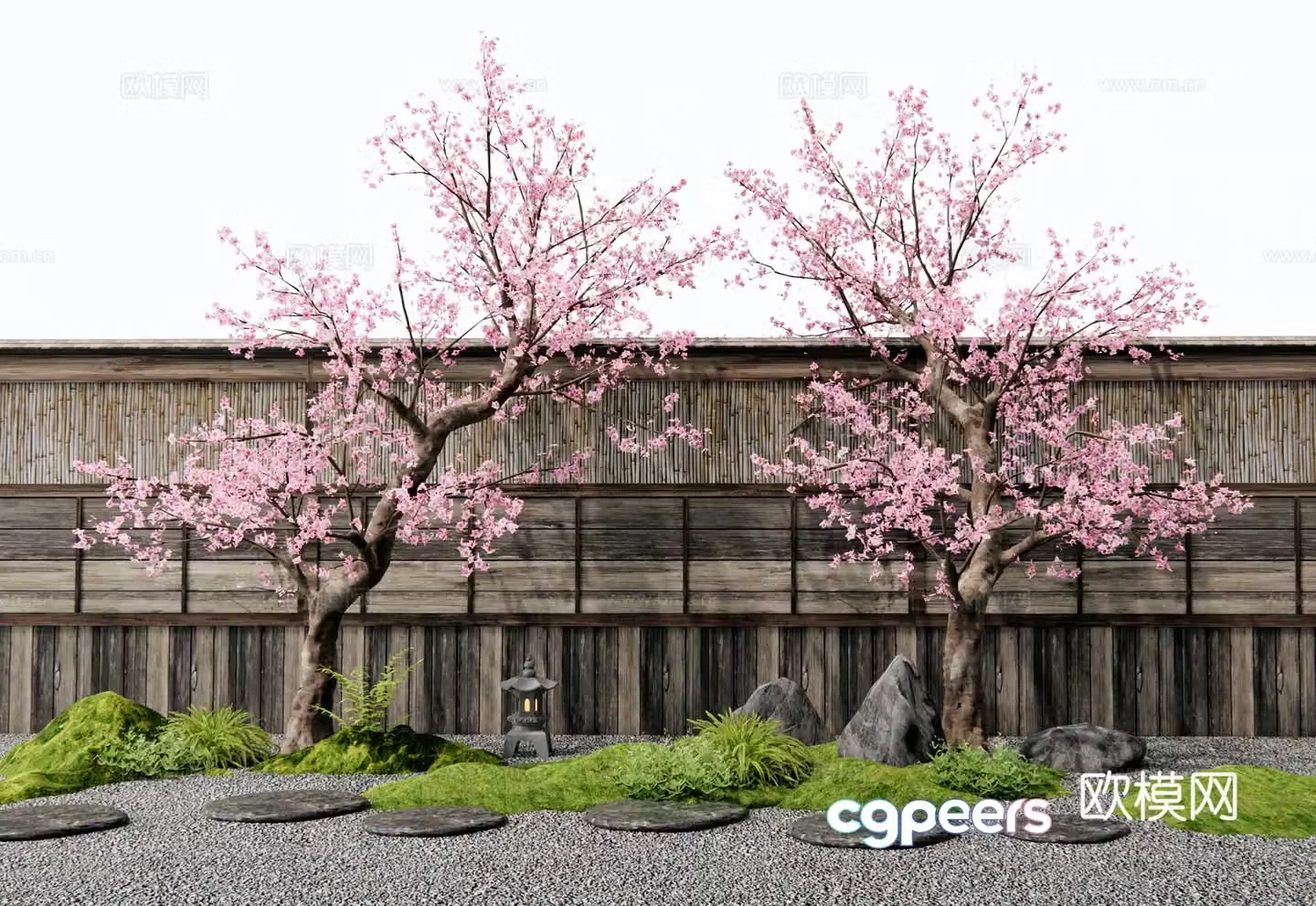 Japanese peach tree old pile peach tree landscape tree cherry tree 3d model