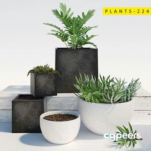 3ds Max Free – PLANTS 224
