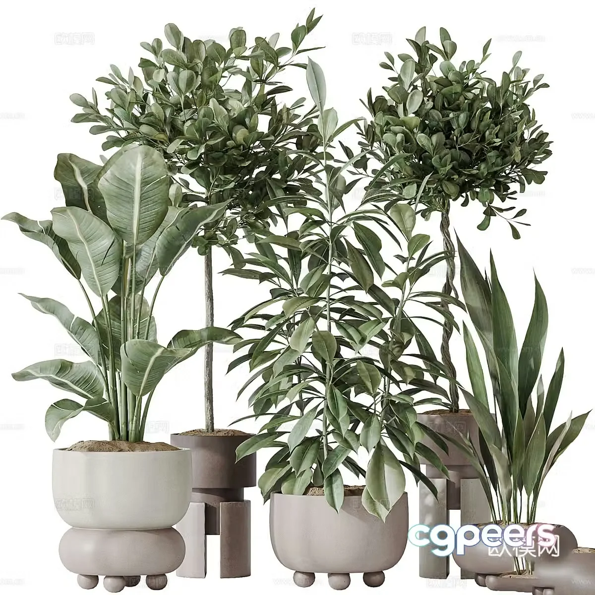 Modern green plant potted bonsai 3d model