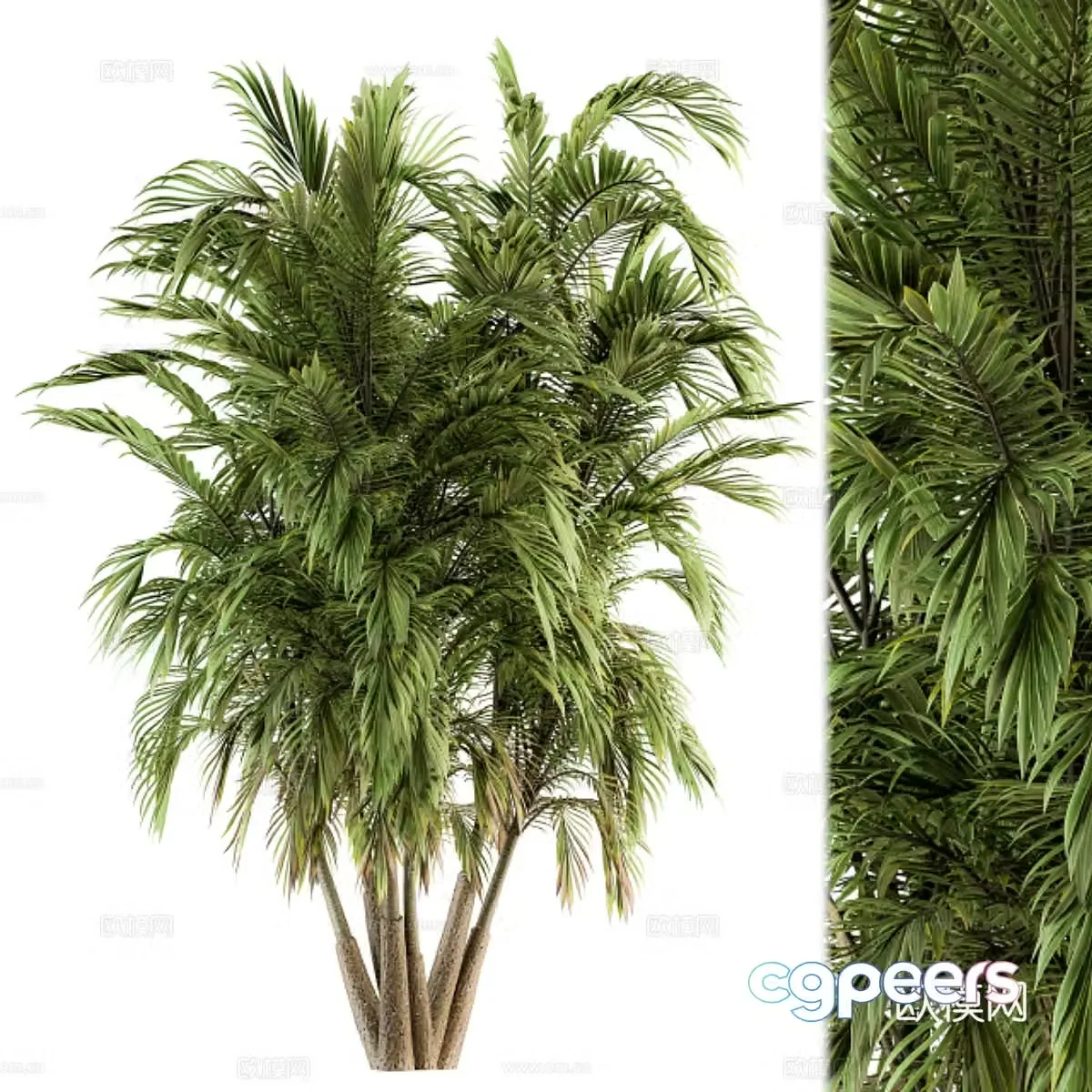Big tree landscape tree 3d model