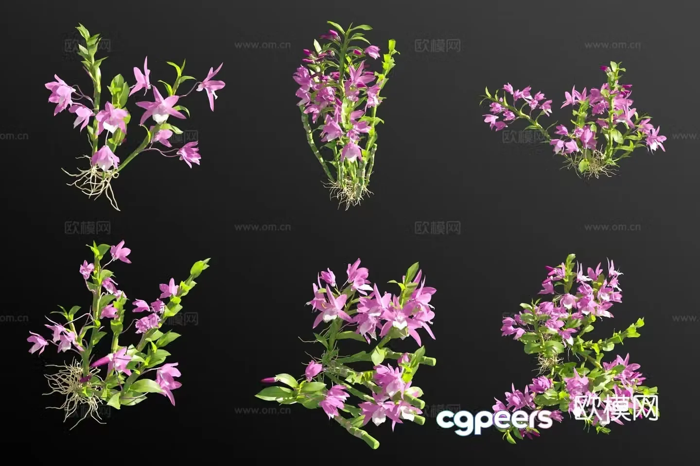 Purple flower orchid grass 3d model