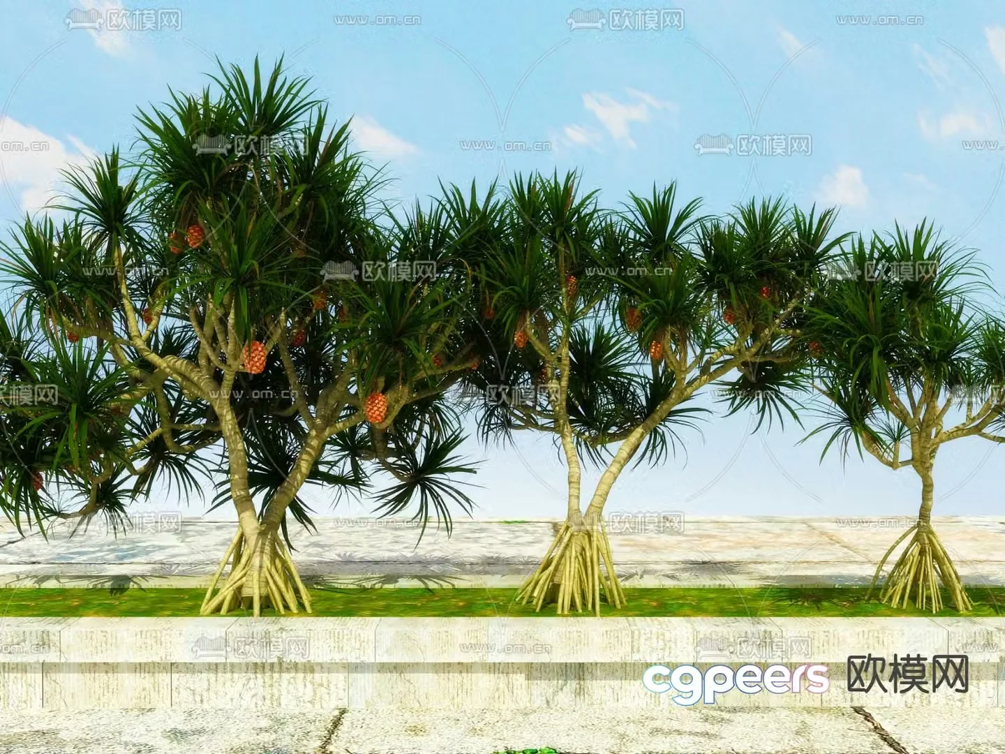 Landscape tree Plant tree Pineapple tree 3d model