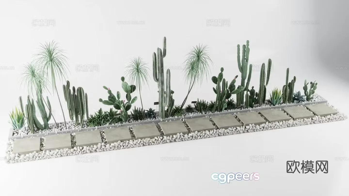 Stone Pebbles Cactus Plants Tinstep 3D Model