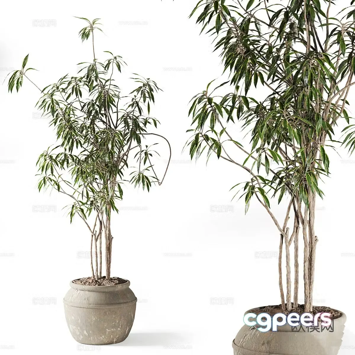 New Chinese style wabi sabi pot plant 3D model