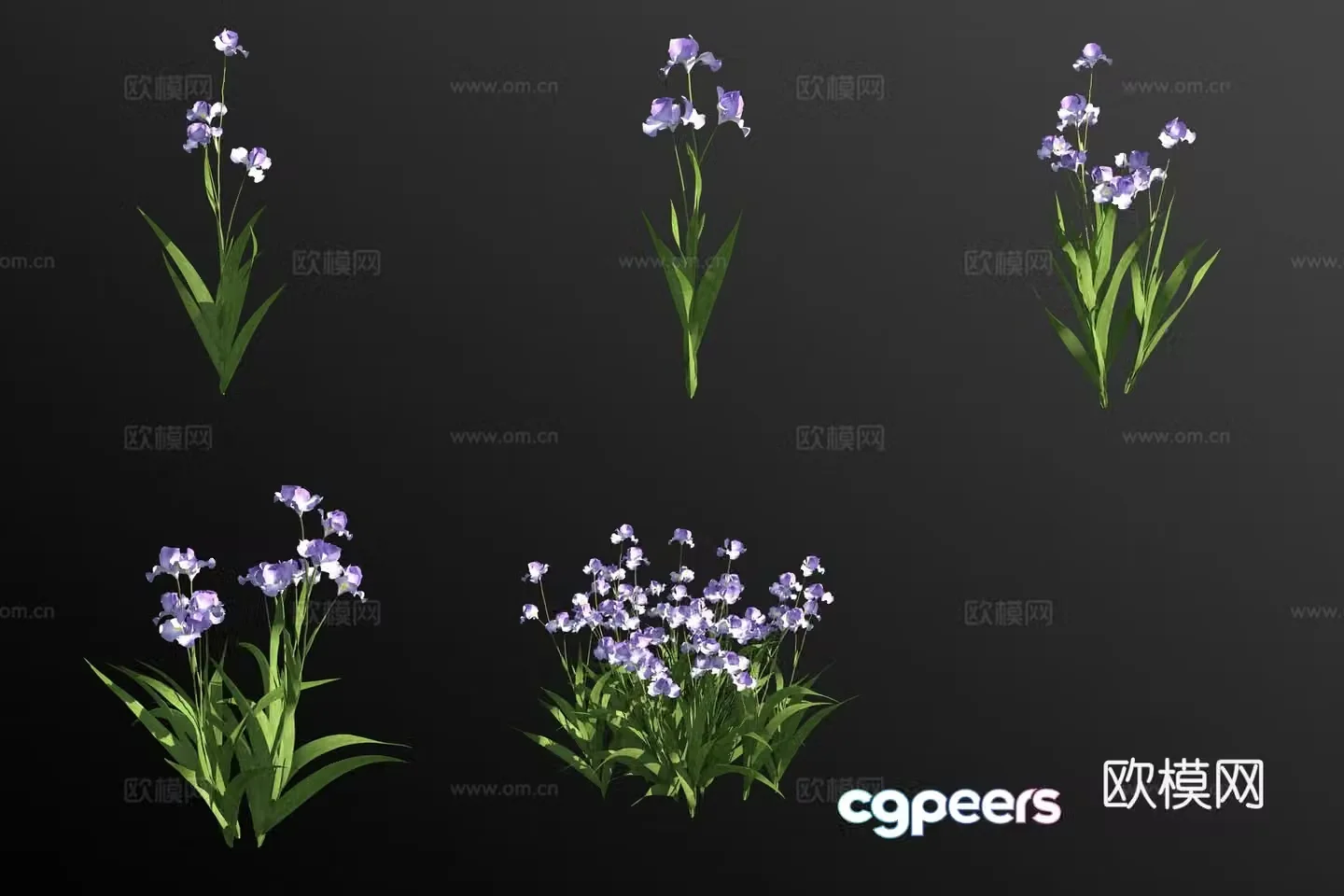Iris plant 3d model