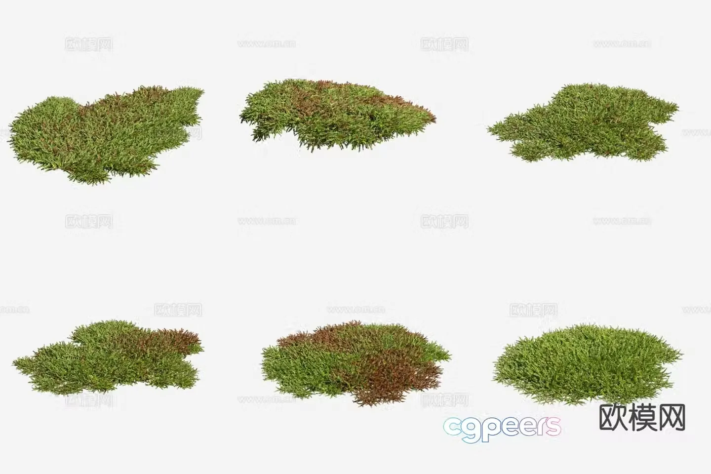 Mingleaf moss grass aquatic plants 3D model