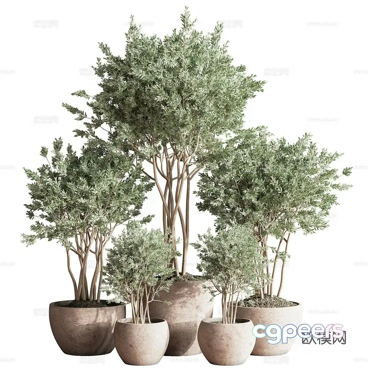 Green plant potted 3D model