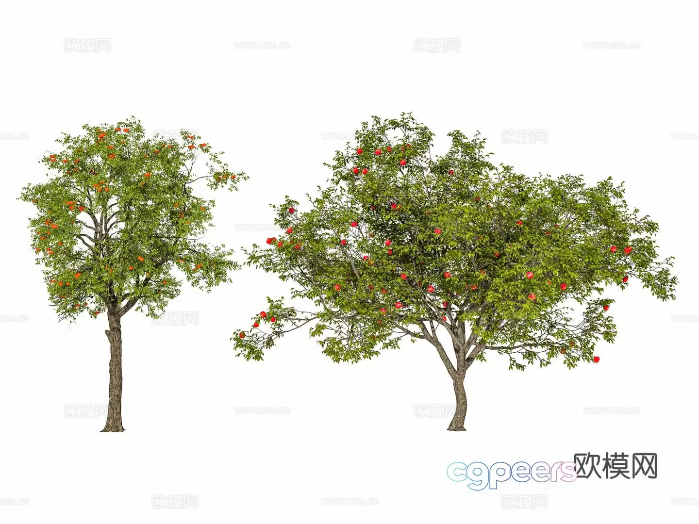 Modern tree Street tree Fruit tree Landscape tree Garden tree Persimmon tree Apple tree Pomegranate 3d model