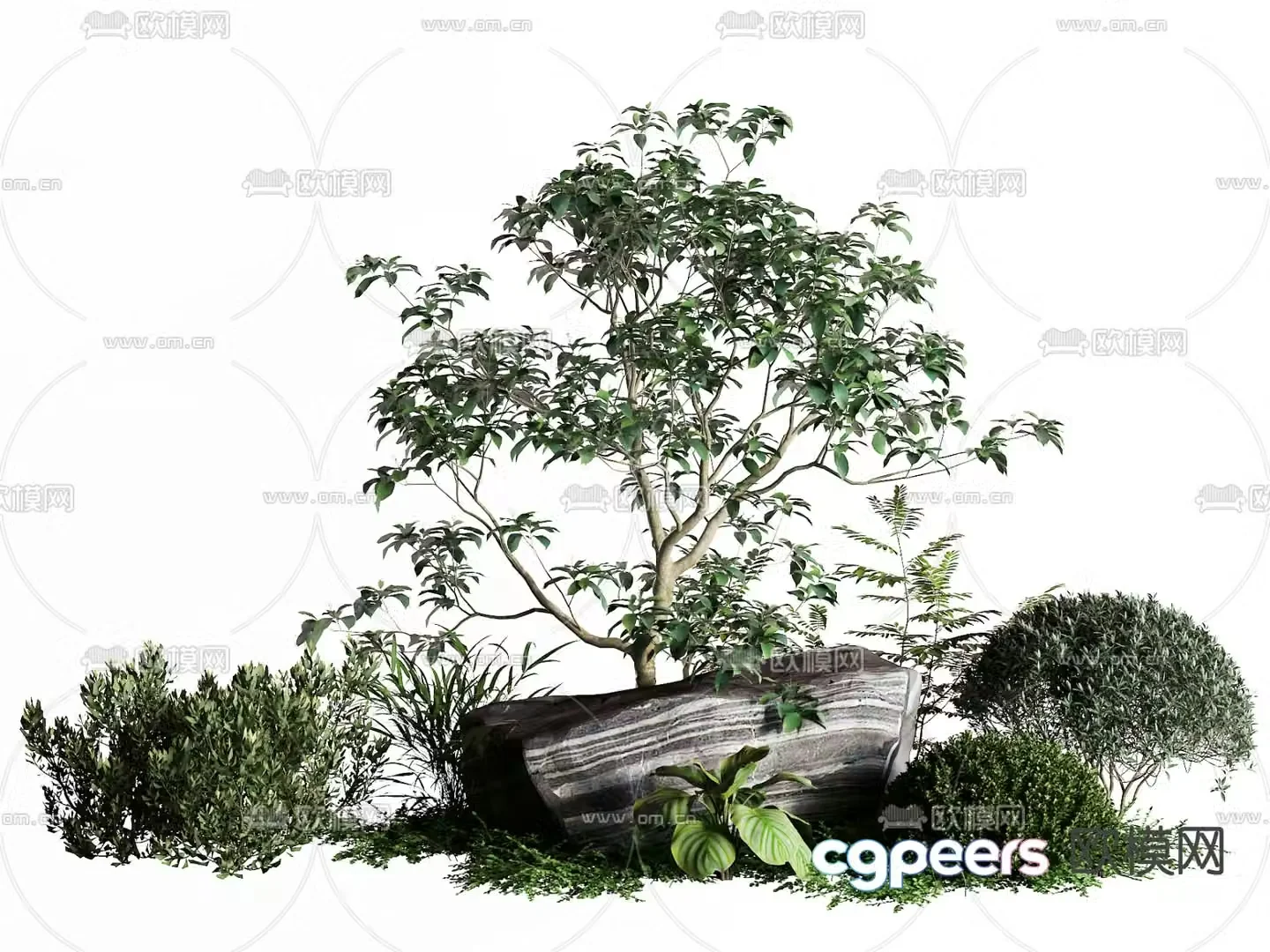 Styling Shrubs Pruning Shrubs Landscape Tree 3D Model