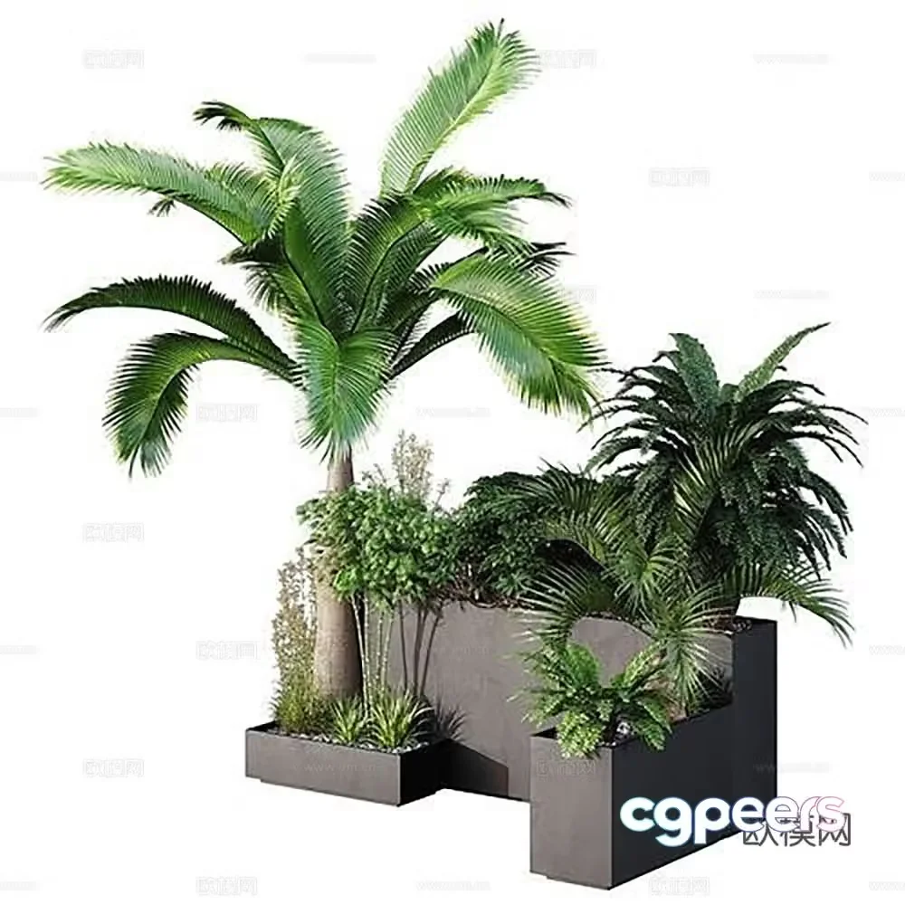 Modern plant green plant flower box houseplant 3d model