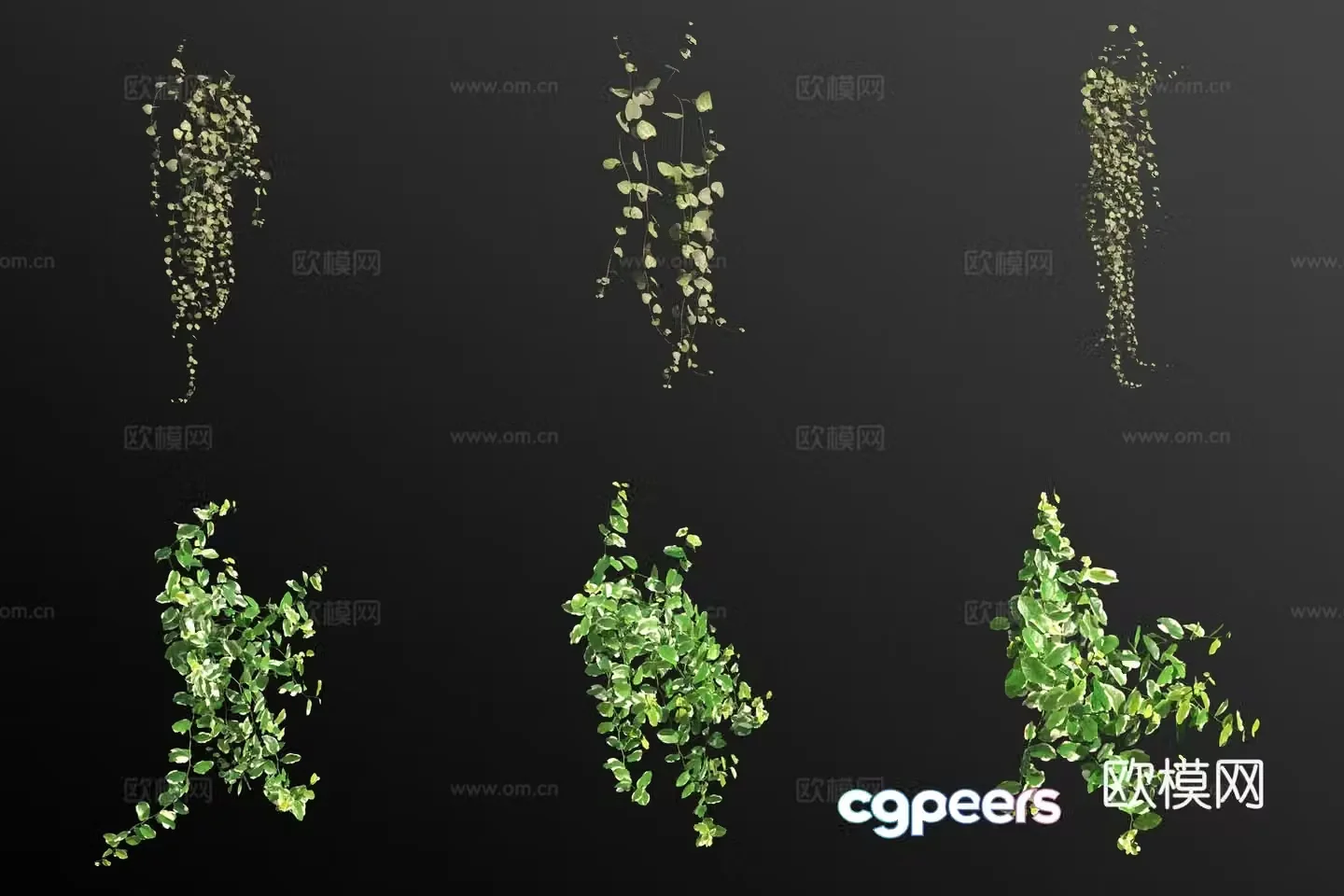3d model of goldenrod leaf lily flower and grass