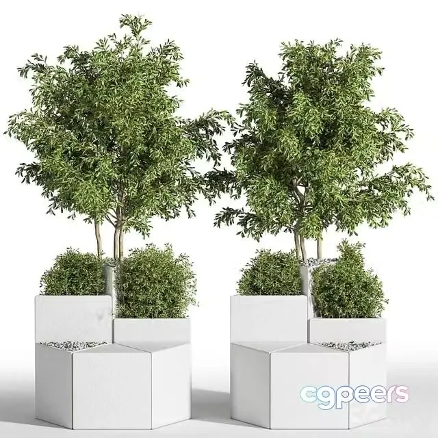 3ds Max Free – Outdoor Chair of The Shrub
