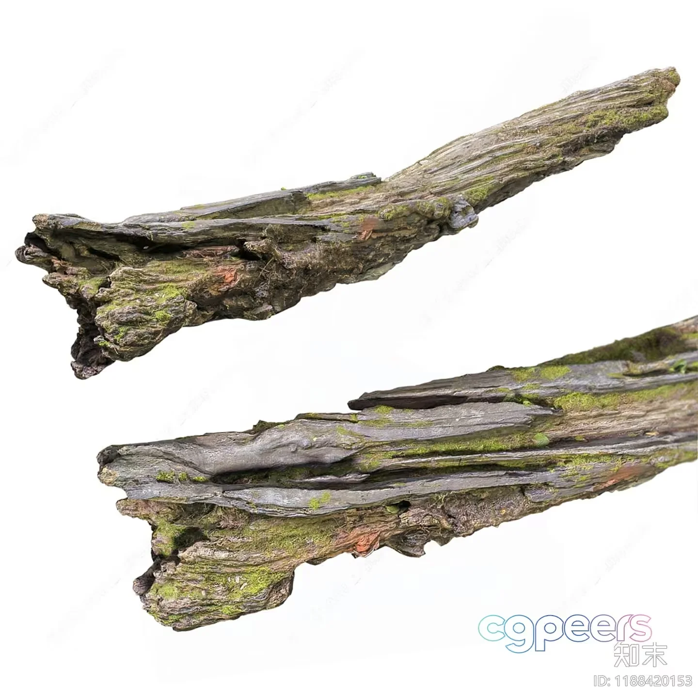 A Piece Of Driftwood 3D Model – 8992 – VRAY Render