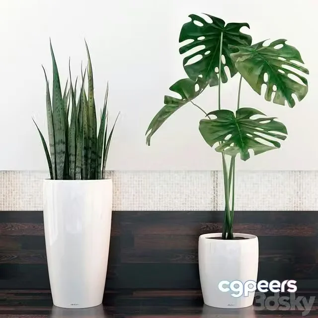 3ds Max Free – sansevieria, monstera