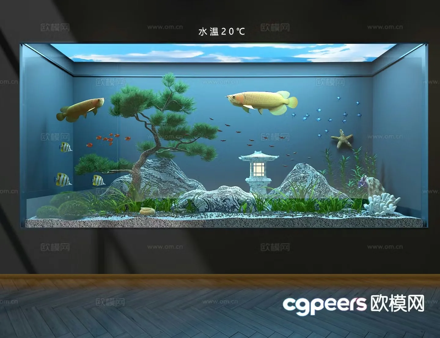 Ecological fish tank aquarium 3d model