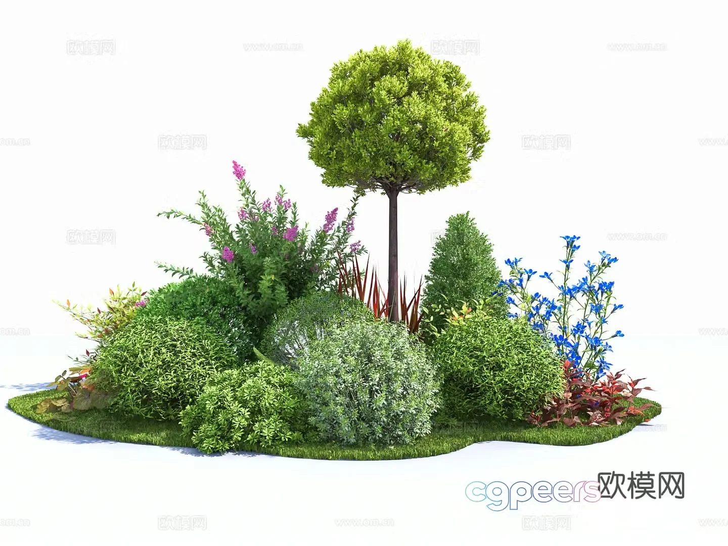 Ligustrum flower glass plant combination flowers and grass shrubs garden landscape plants flowers and plants 3D model