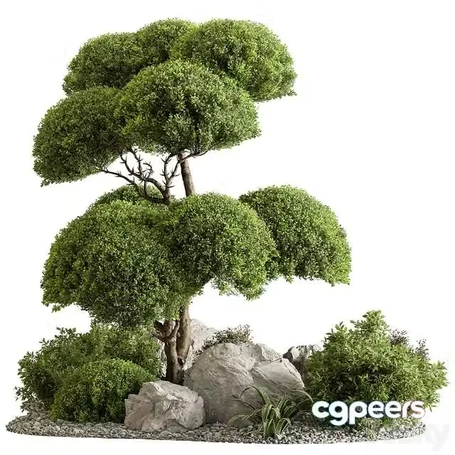 3ds Max Free – Garden Plants – Outdoor Plants 598
