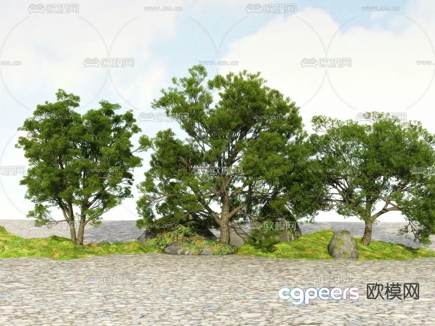 Big tree Landscape tree Street tree 3d model