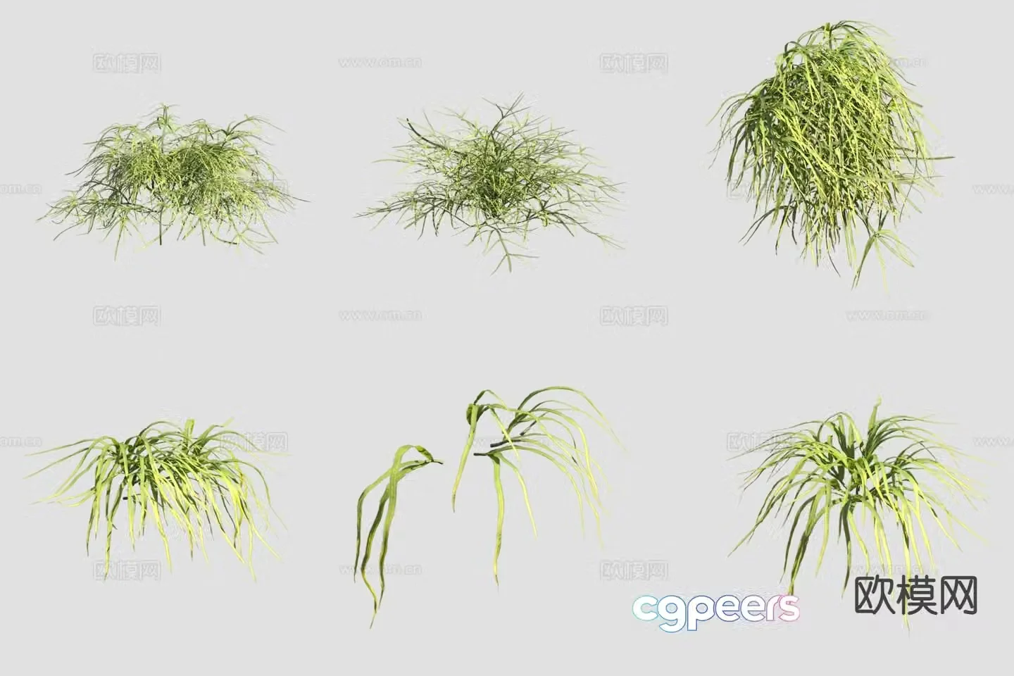 Flowers and plants 3D model