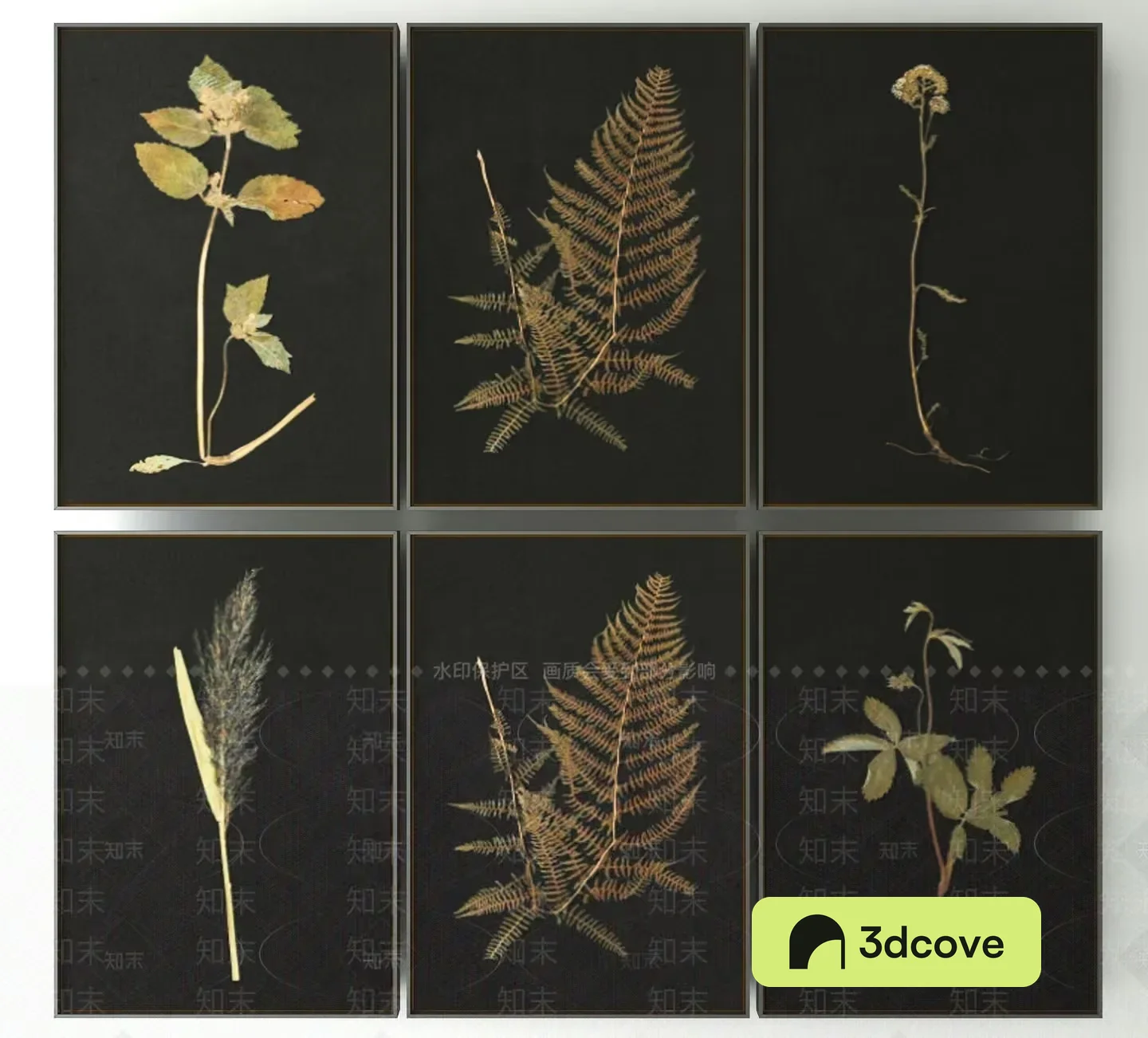 Six Pieces Of Artwork Featuring Pressed Leaves