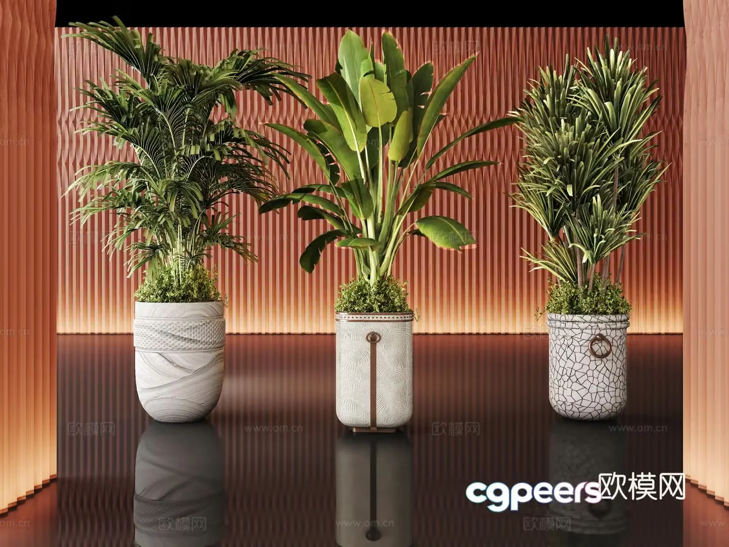 green plant plant sedge flower pot potted 3d model