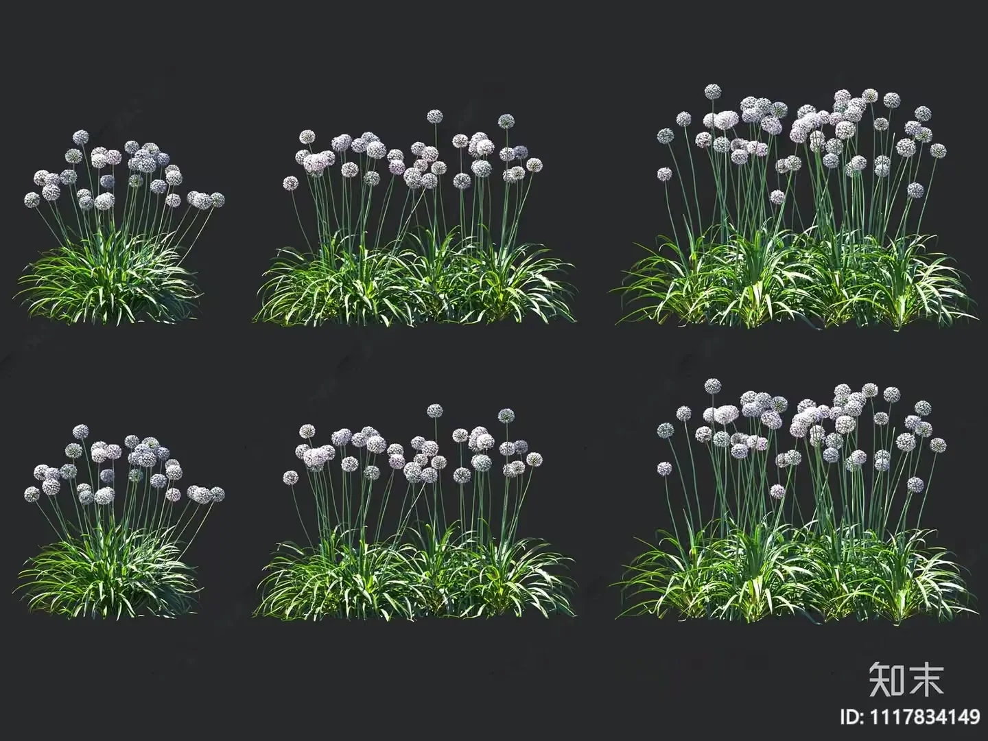 Flowers And Grass 3D Model – 9026 – VRAY Render