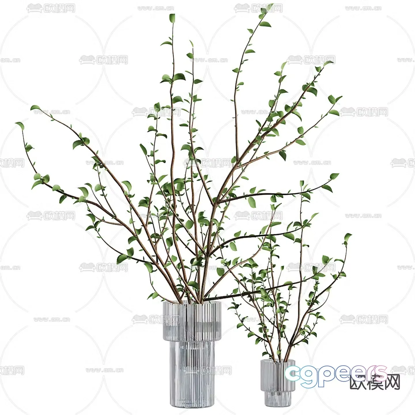 Aquatic plants hydroponic green plants 3D model
