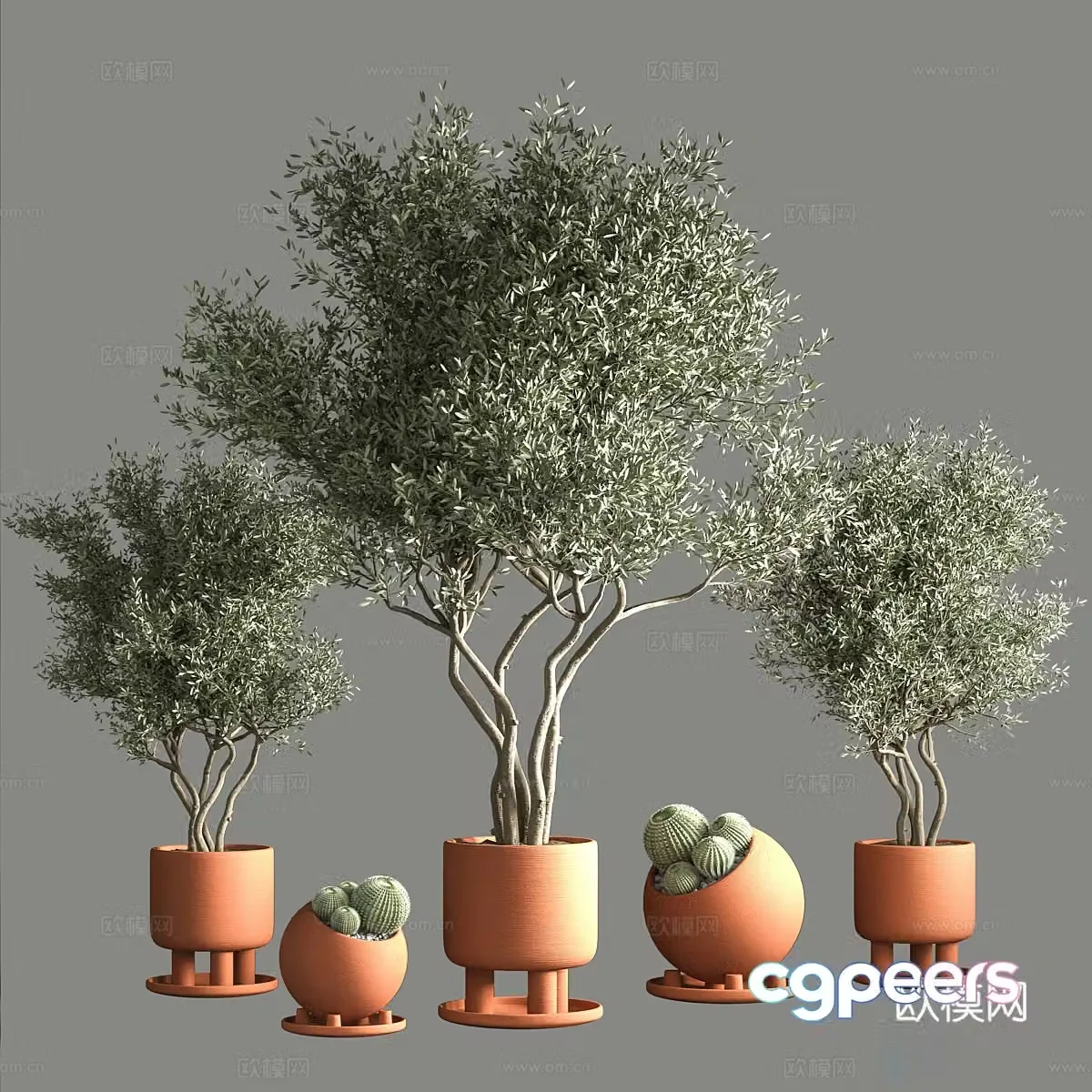 Green plant potted 3D model