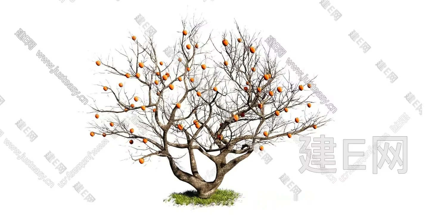 A Tree With Orange Fruit 3D Model – 19044 – VRAY Render