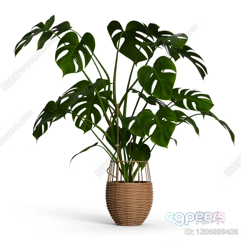 A Potted Plant With Green Leaves 3D Model – 4401 – VRAY Render