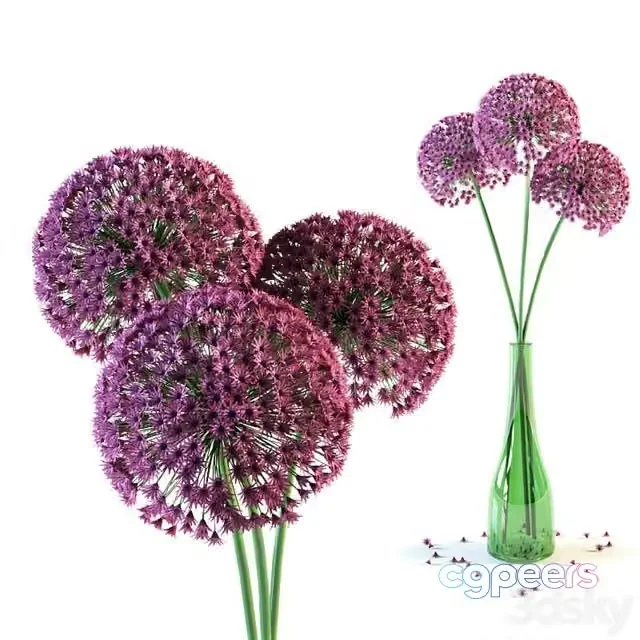 3ds Max Free – Allium flowers in vase