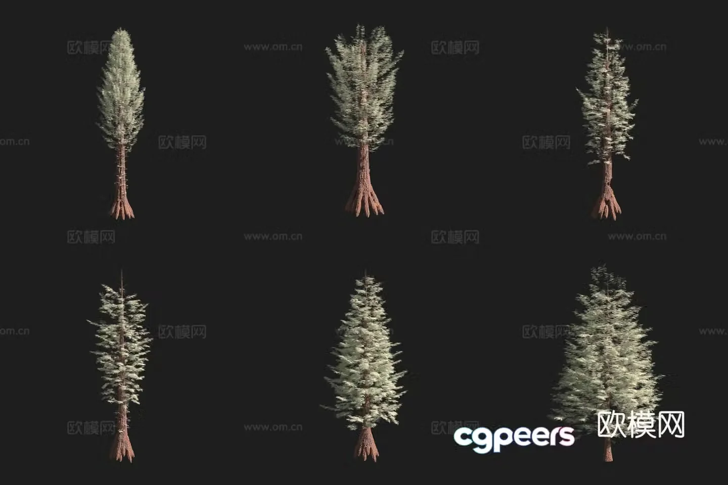 Sequoia Tree North American Tree 3D Model