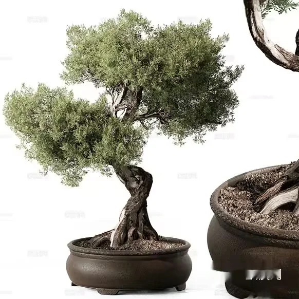 A Tree In A Pot 3D Model – 11016 – CORONA Render
