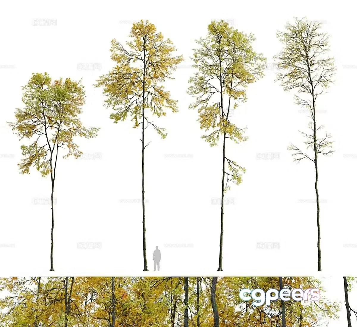 Autumn deep forest trees landscape tree 3d model
