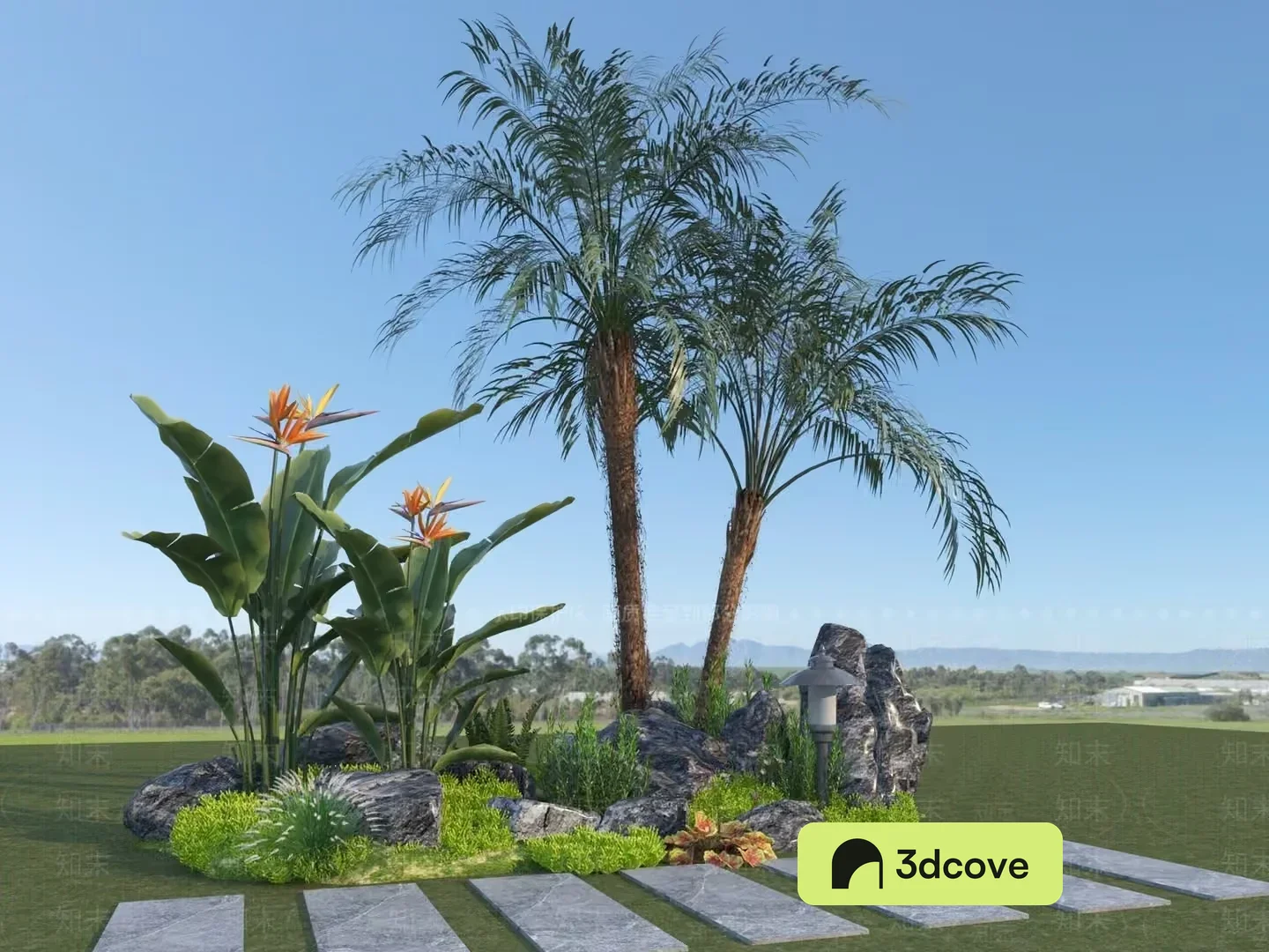 A Tropical Landscape