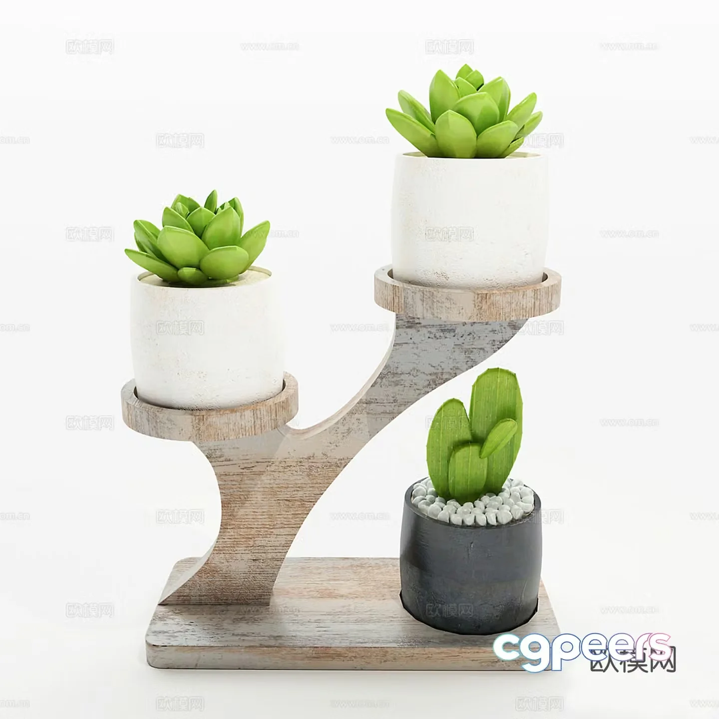 Cactus potted small potted plant 3d model