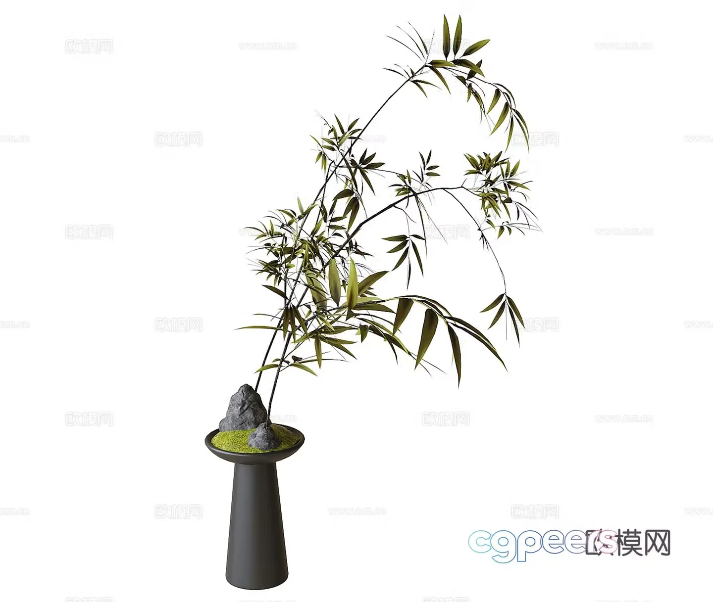 Modern plant ornaments 3d model