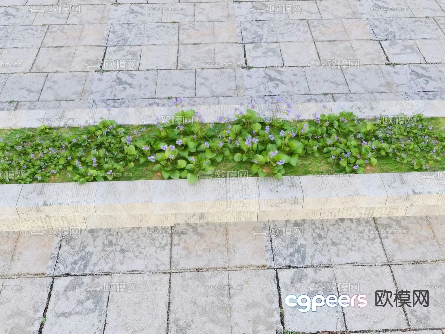 Flowers and plants Landscape plants 3D model