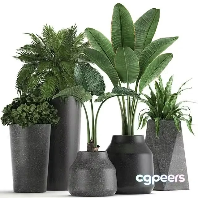3ds Max Free – Collection of small plants in black pots Set 825
